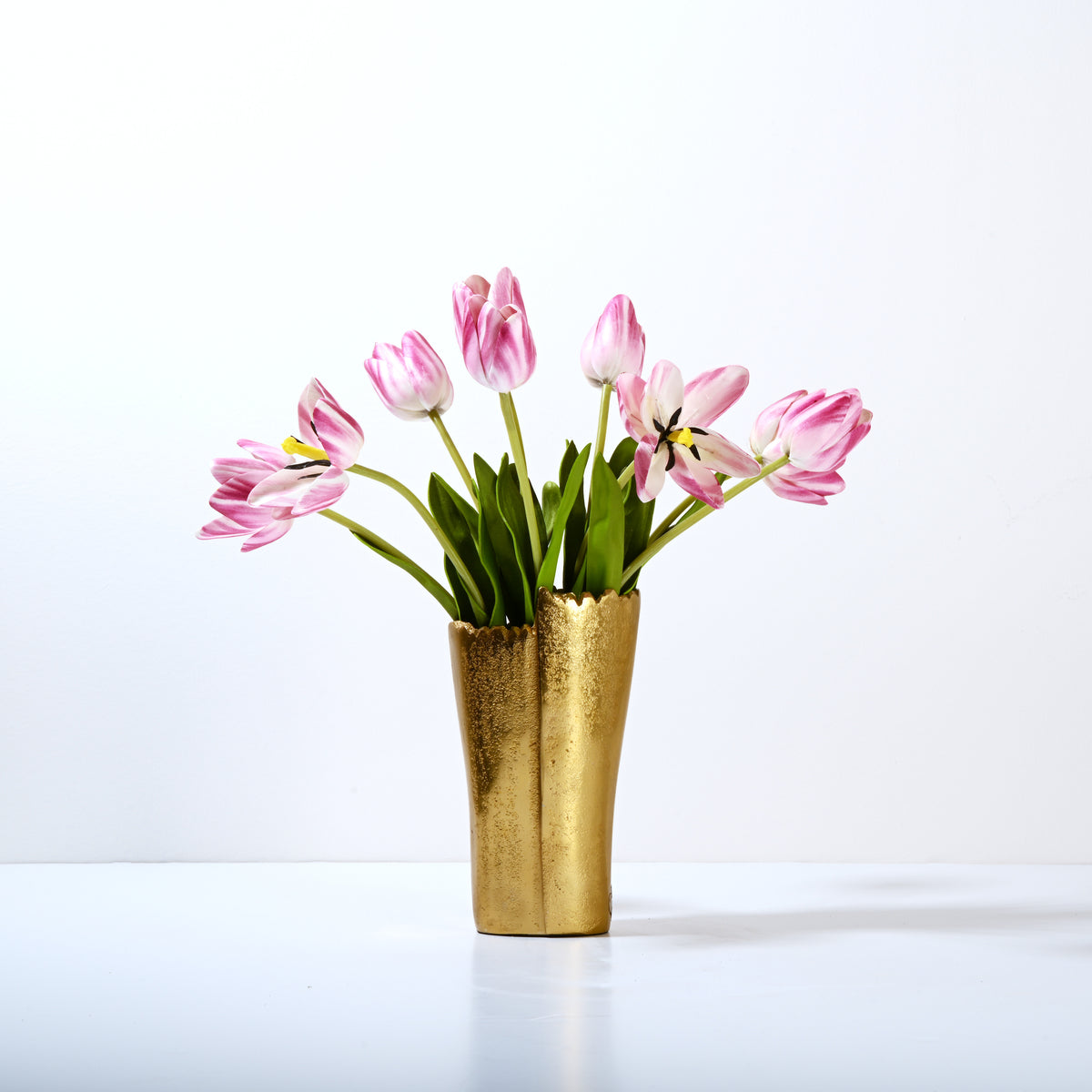 Tulips Dreams