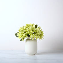Load image into Gallery viewer, Jar Dahlias