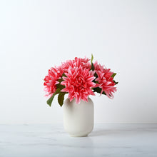 Load image into Gallery viewer, Jar Dahlias