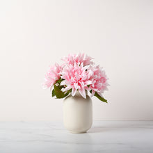 Load image into Gallery viewer, Jar Dahlias
