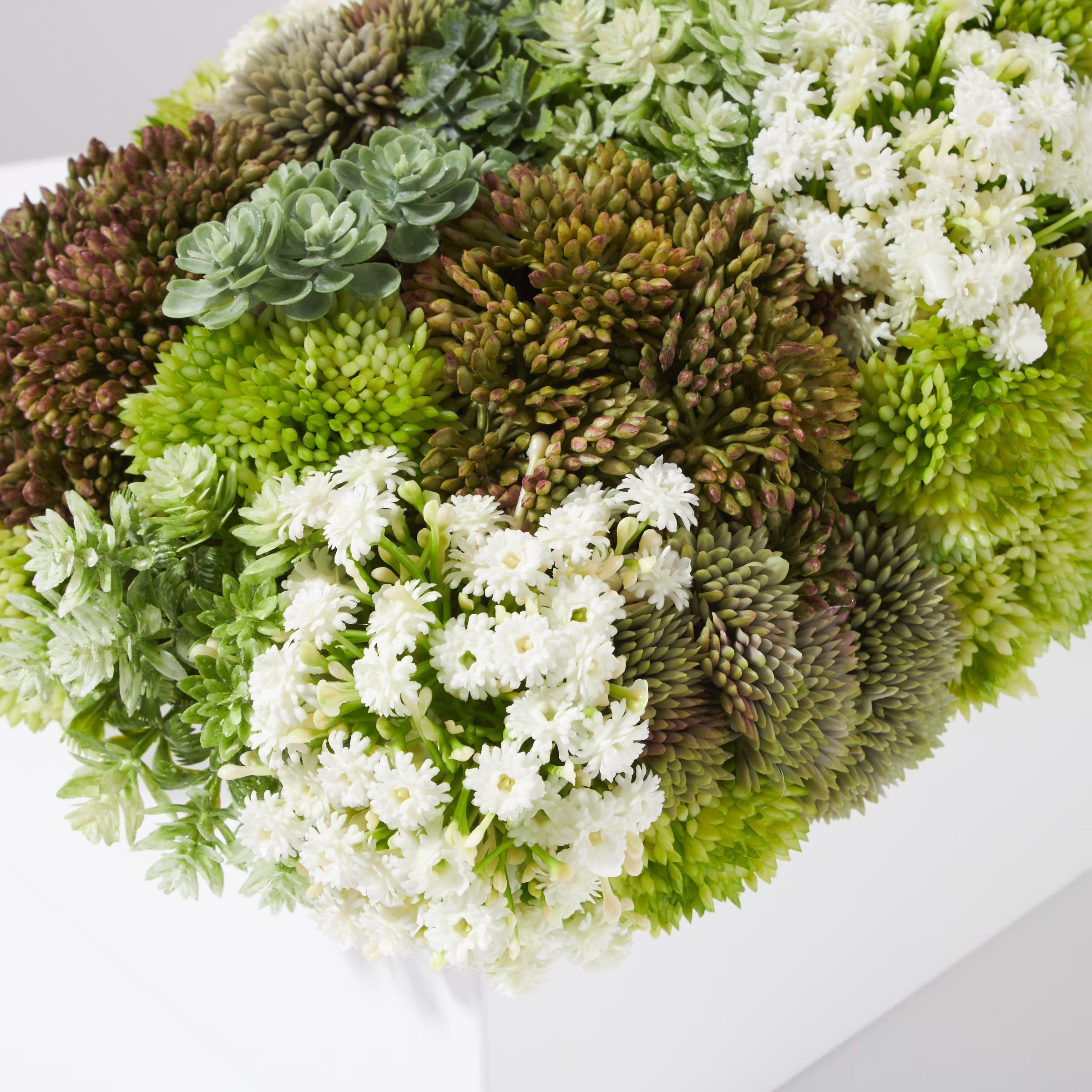 Sedum Garden- Green- White
