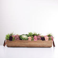 Load image into Gallery viewer, Wooden Trough Sedum