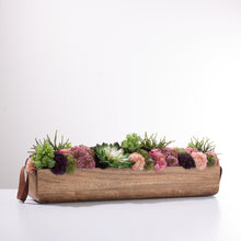 Load image into Gallery viewer, Wooden Trough Sedum