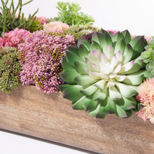 Load image into Gallery viewer, Wooden Trough Sedum