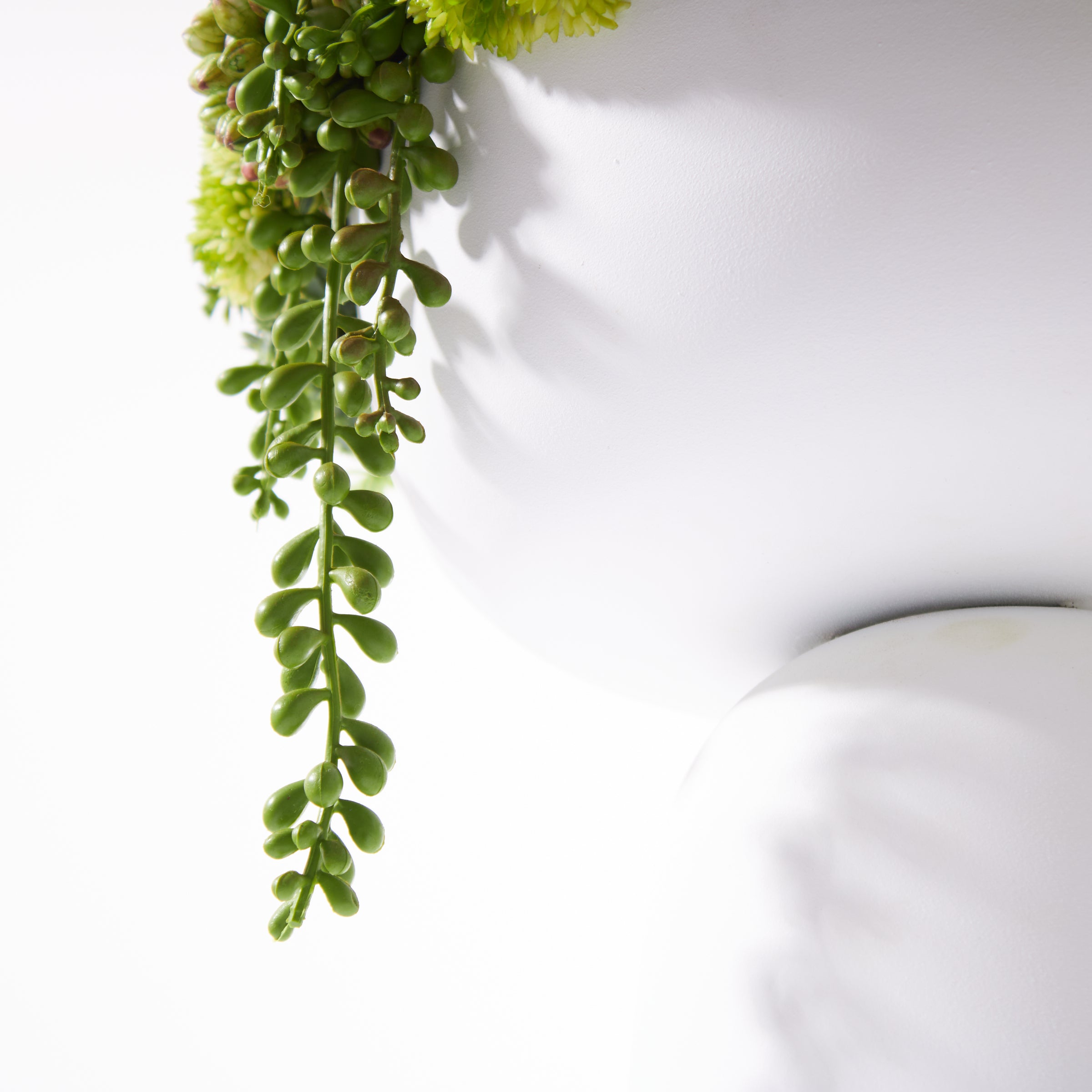 Elevate Sedum Green-White