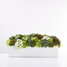 Load image into Gallery viewer, Sedum Garden Green/White