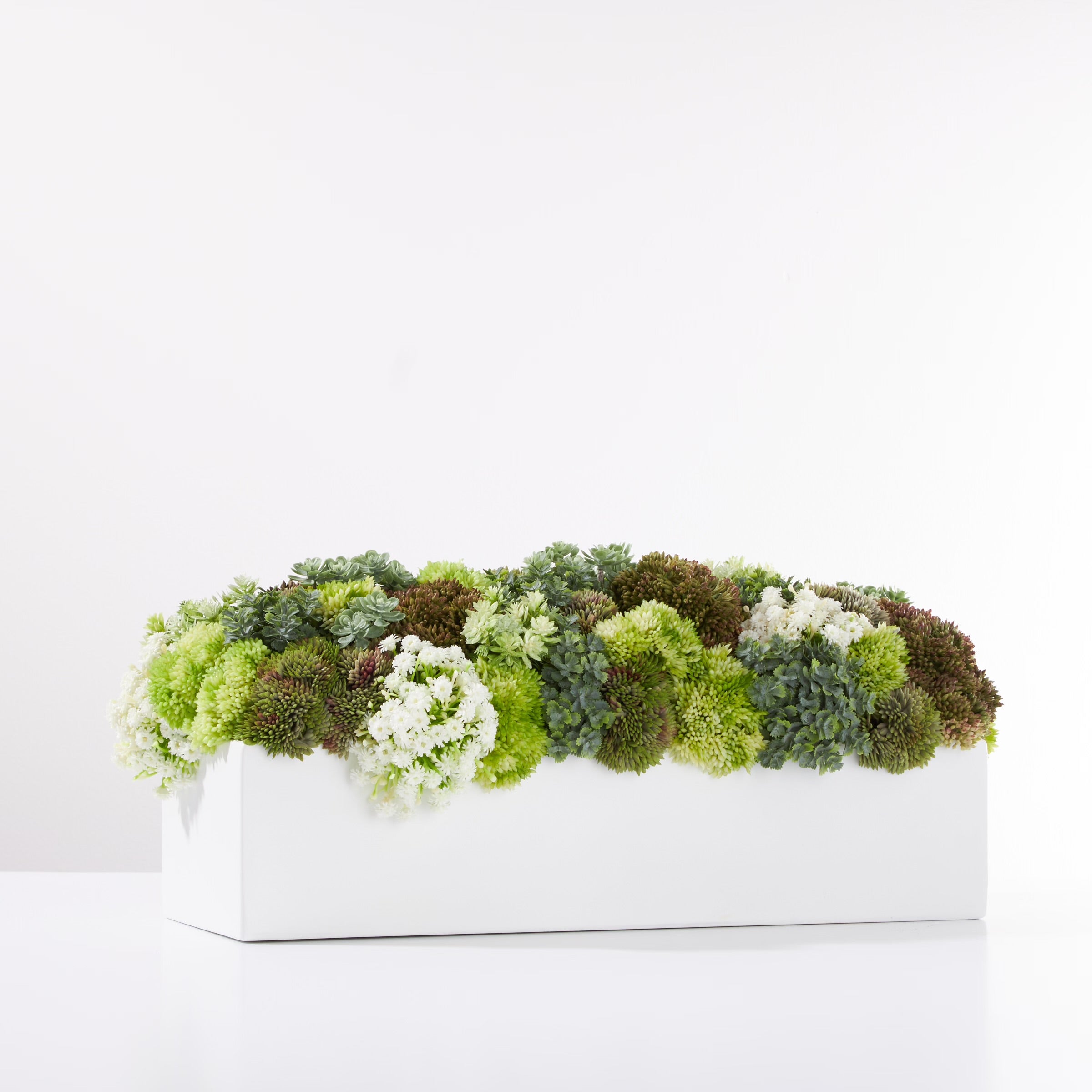 Sedum Garden- Green- White