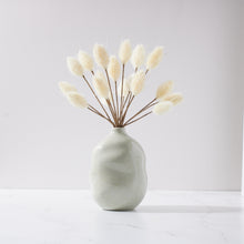 Load image into Gallery viewer, Bunny Tail in Lali Vase