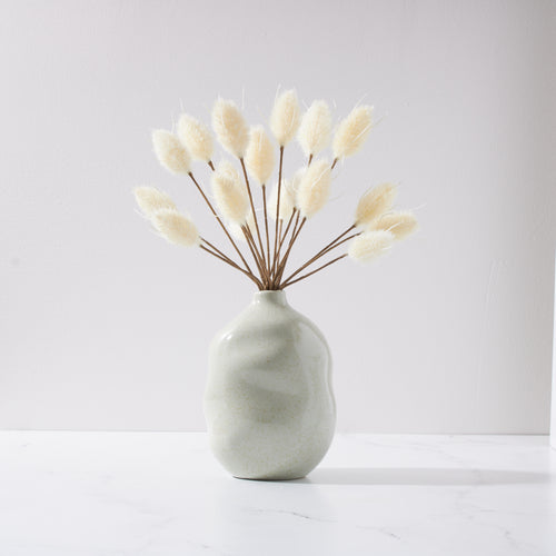 Bunny Tail in Lali Vase