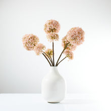 Load image into Gallery viewer, Snowballs in Enamel Vase-Soft Pink