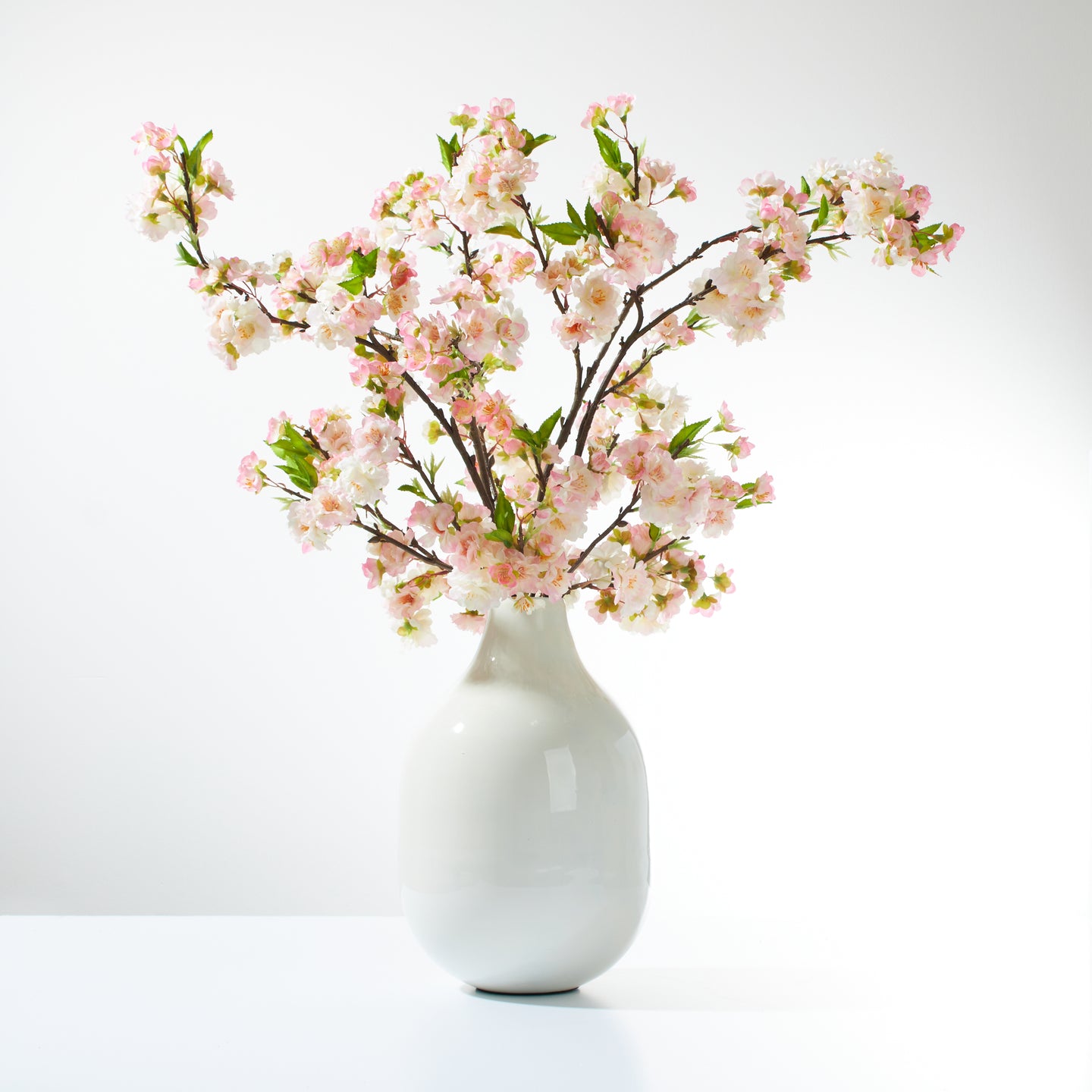 Cherry Blossoms in Bulbous Vase