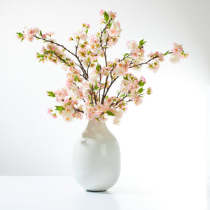 Cherry Blossoms in Bulbous Vase