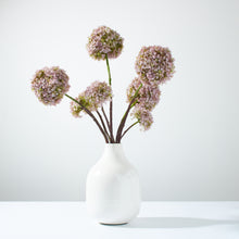 Load image into Gallery viewer, Snowballs in Enamel Vase-LV