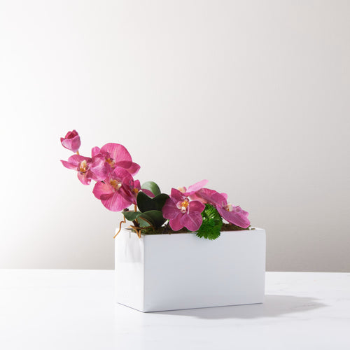 Mini Brick Baby Orchid-Fu