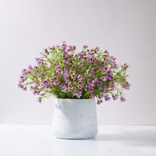 Load image into Gallery viewer, Patt Waxflower-LV