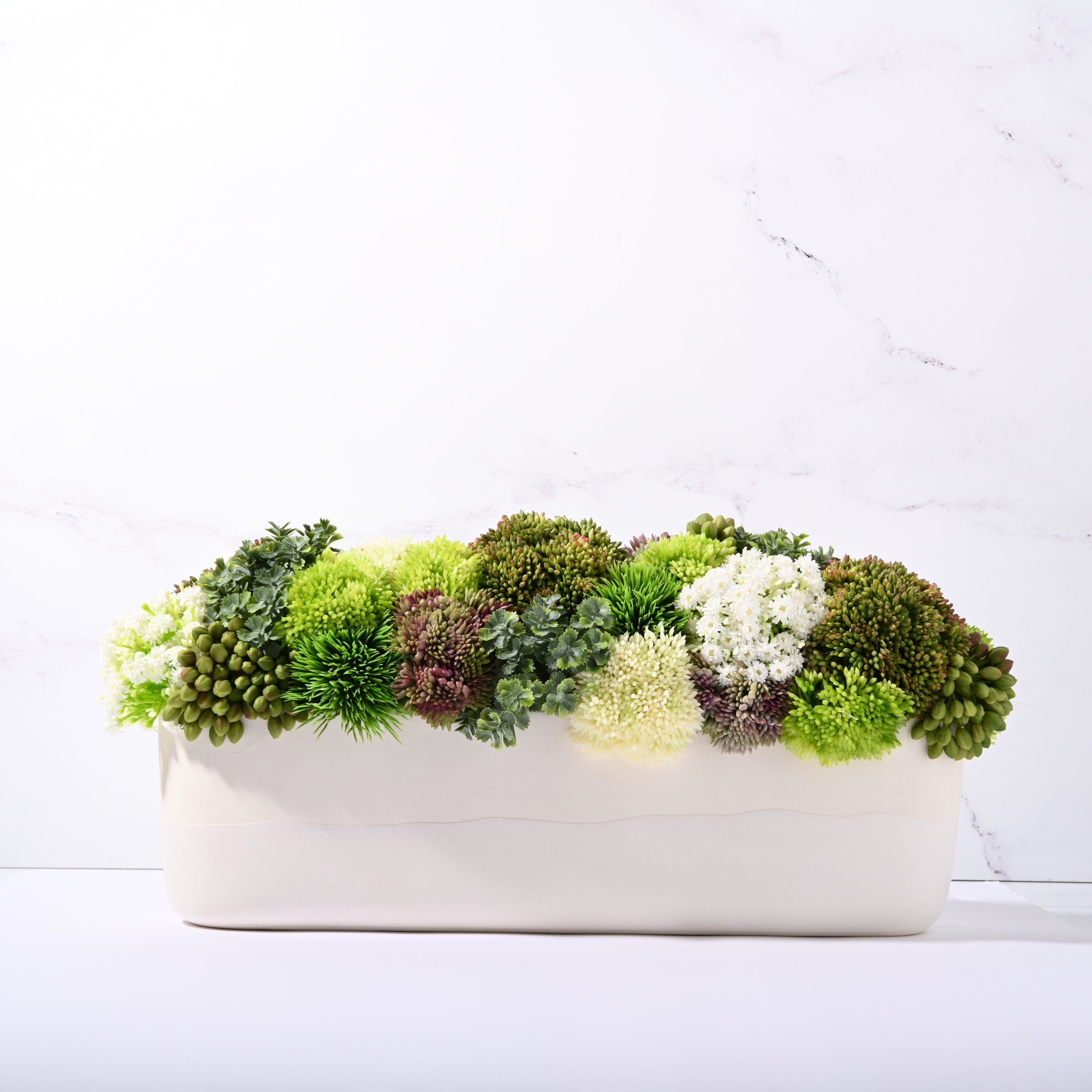 Bella Sedum Green-White