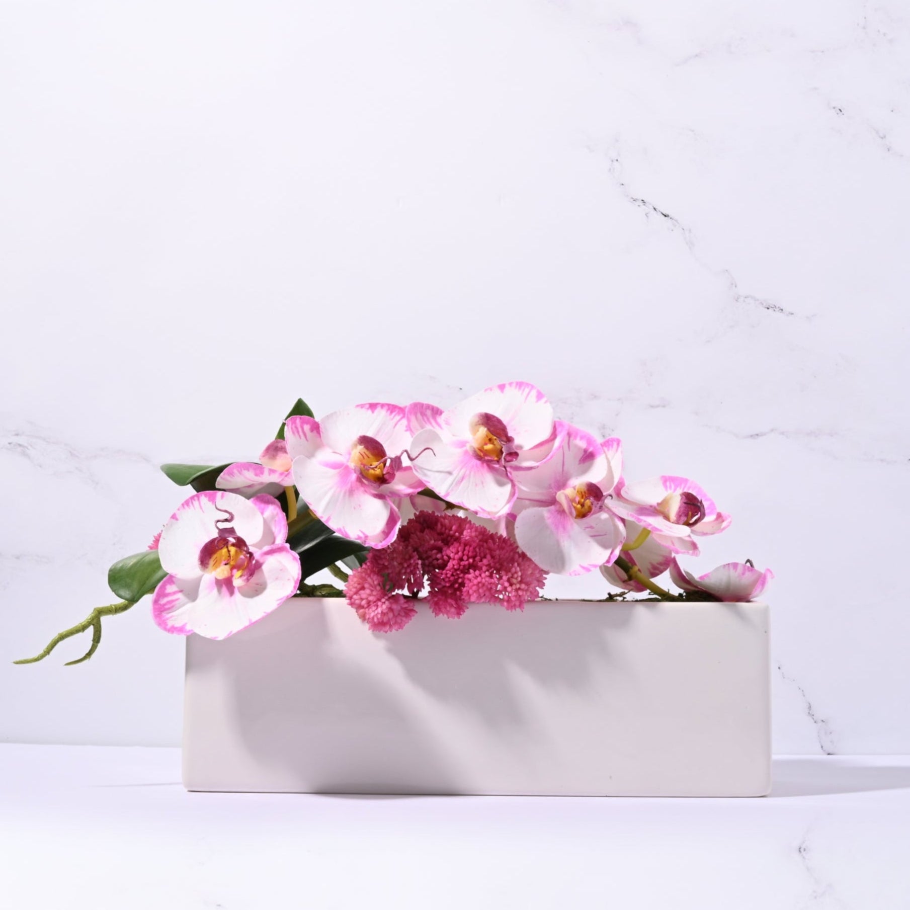 Urban Pink Tipped Orchid