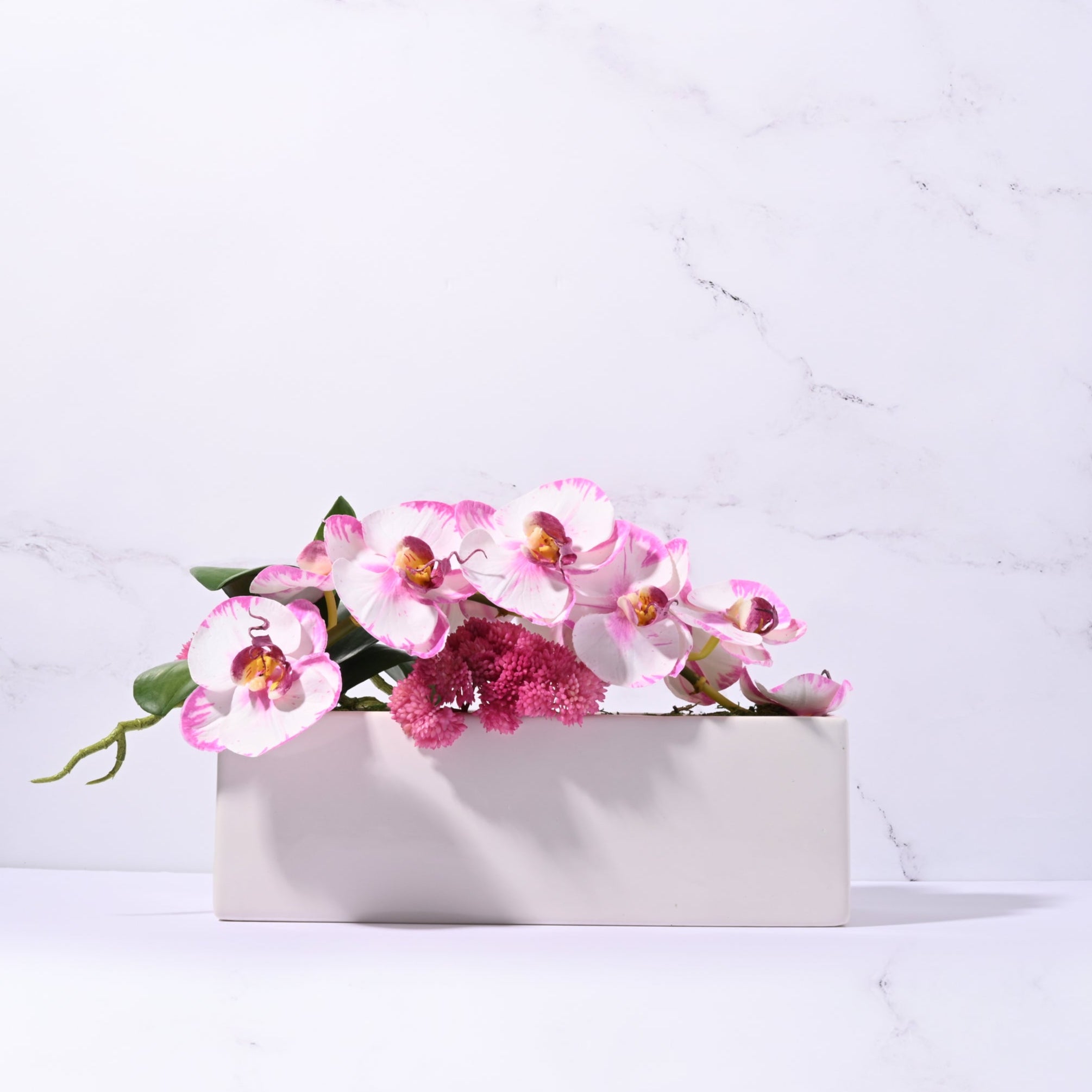 Urban Pink Tipped Orchid