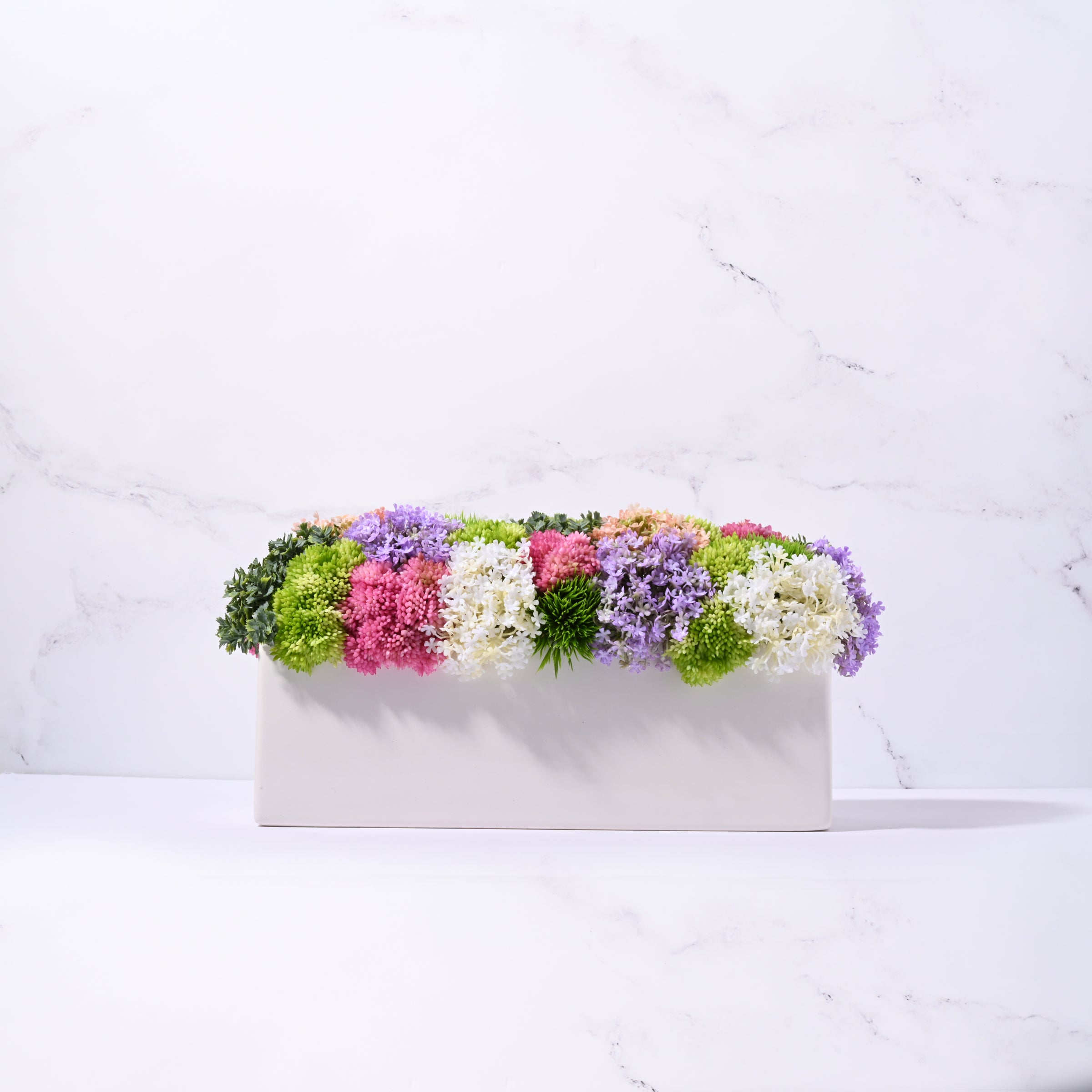 Urban Sedum - Bright