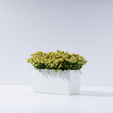 Load image into Gallery viewer, Mini Brick Pom Pom -Green