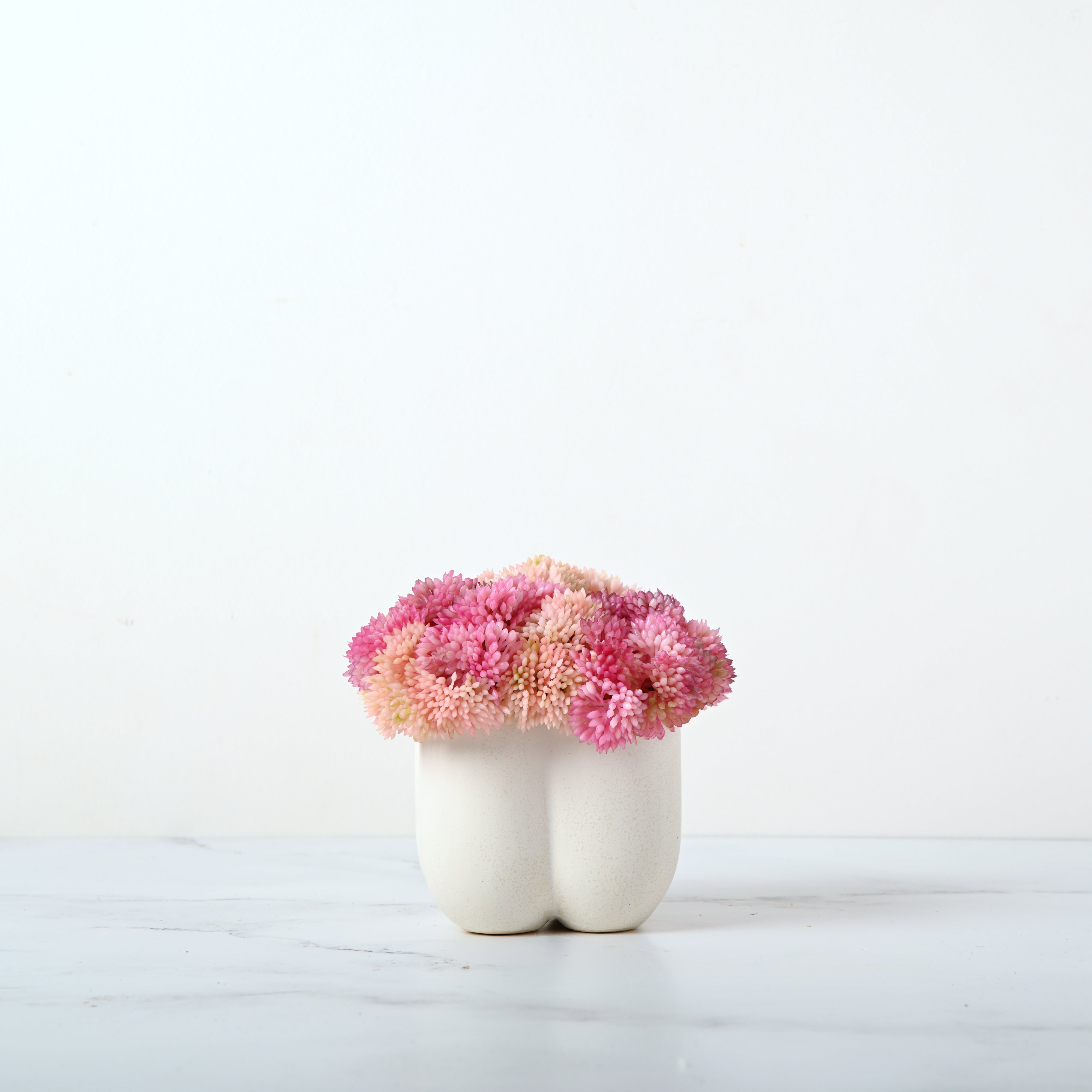 Van Cleef Sedum