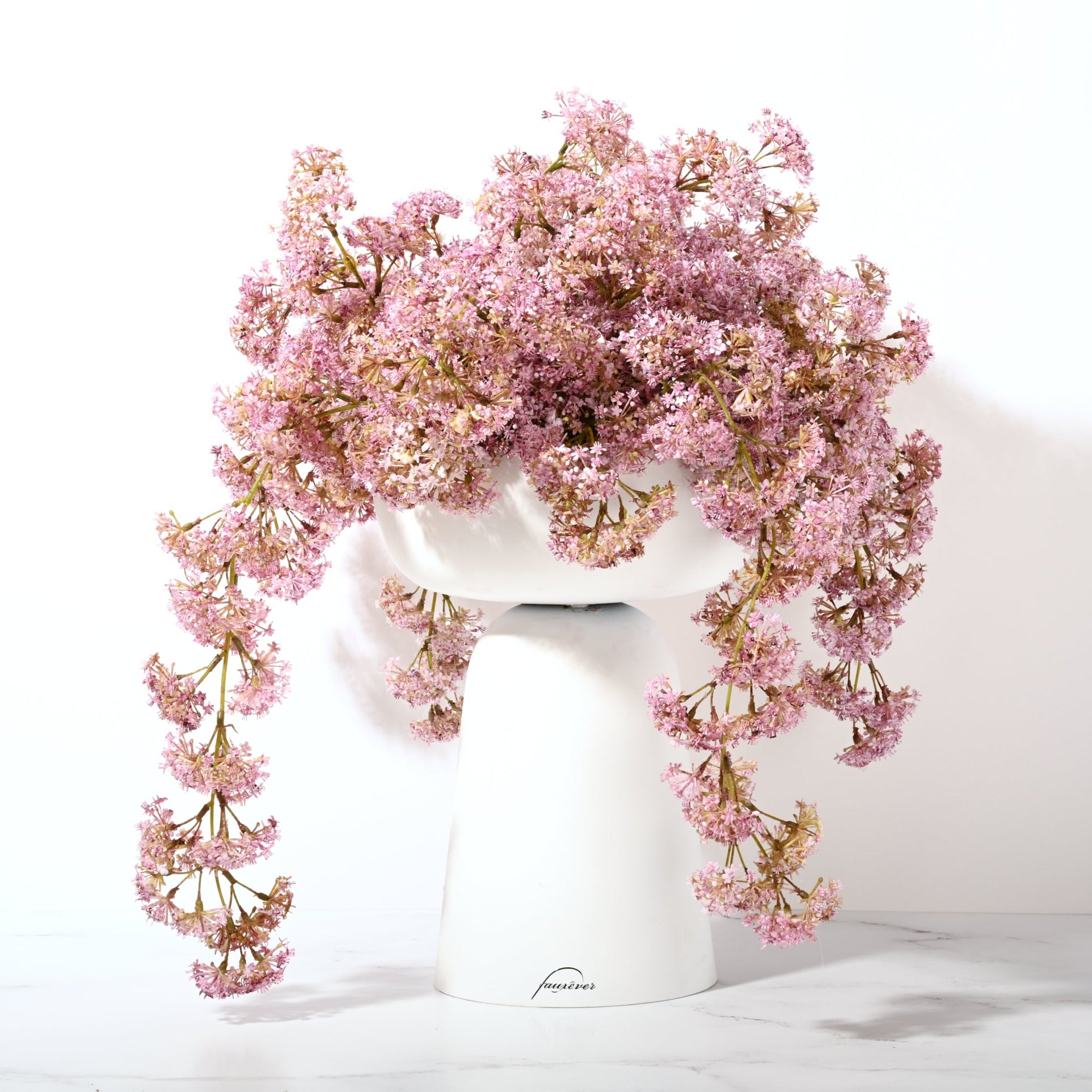 Elevate Weeping Laurel