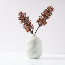 Load image into Gallery viewer, Skimmia in Lali vase