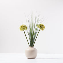 Load image into Gallery viewer, Simply Alliums-Light Green
