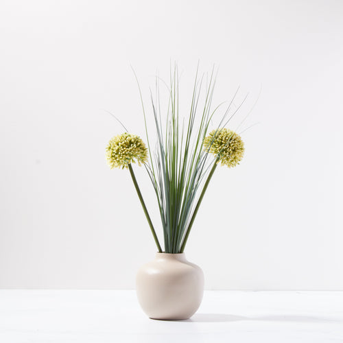 Simply Alliums-Light Green