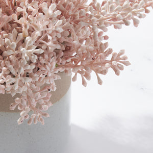 Seeded Clusters in Banded Pot-Soft Pink