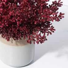 Load image into Gallery viewer, Seeded Clusters in Banded Pot-Burgundy