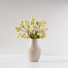 Load image into Gallery viewer, Dream Puffs in Milan Vase -Cream/Pink