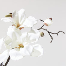 Load image into Gallery viewer, Magnolias in Melodic Vase