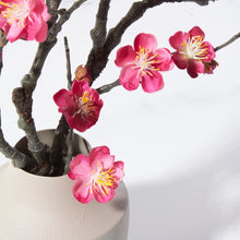 Load image into Gallery viewer, Plum Blossoms in Milan Vase-FU
