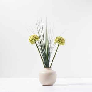 Simply Alliums-Light Green