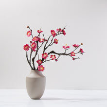 Load image into Gallery viewer, Plum Blossoms in Milan Vase-FU