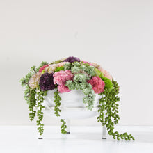 Load image into Gallery viewer, Sedum Plant Stand