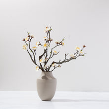 Load image into Gallery viewer, Plum Blossoms in Milan Vase-CR