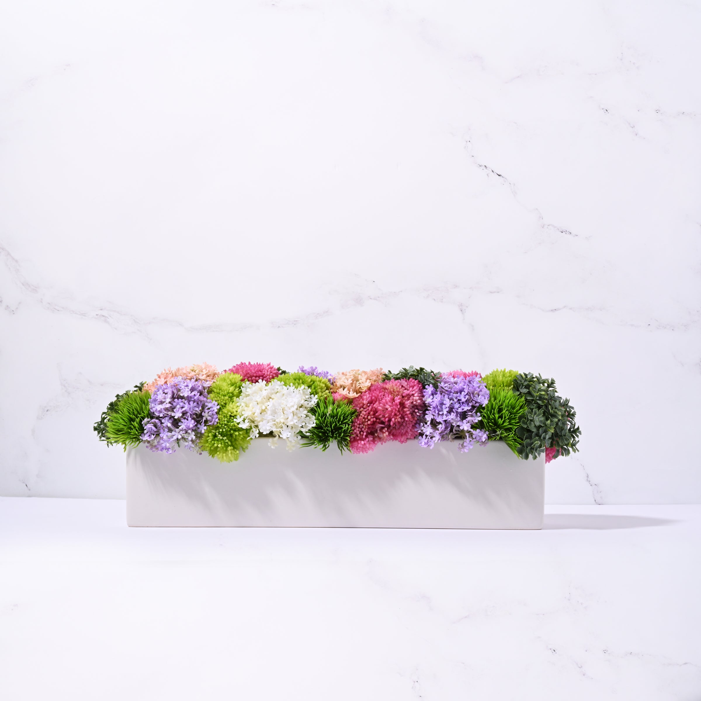 Slim Sedum - Bright