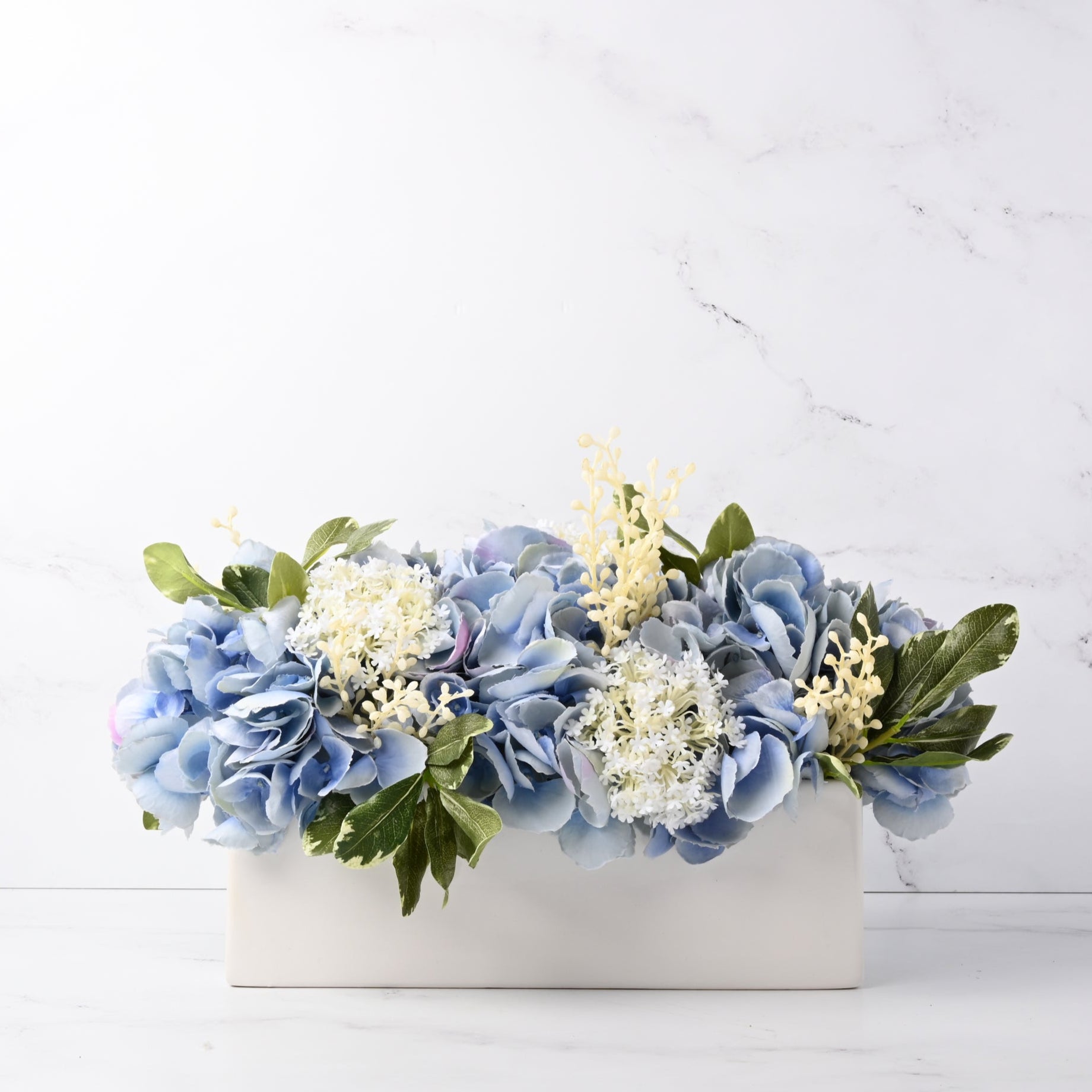 Baby Blue Urban Hydrangea