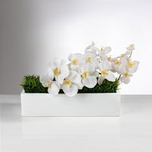 Load image into Gallery viewer, Balcony Grass + Orchids item # 8249