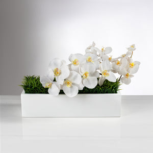 Balcony Grass + Orchids item # 8249