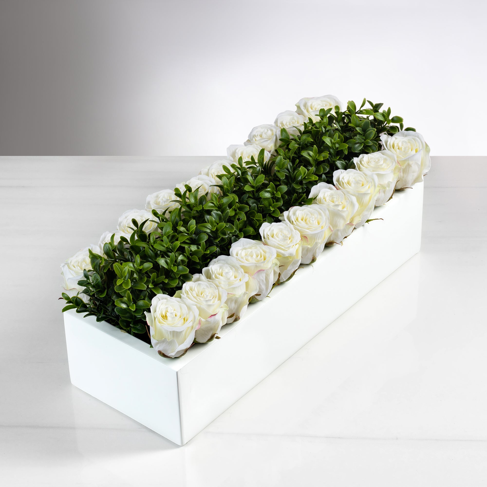 Balcony Garden Cream Rose