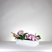 Load image into Gallery viewer, Balco Driftwood Orchid , white/fuschia            item # 8251