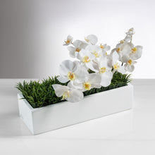 Load image into Gallery viewer, Balcony Grass + Orchids item # 8249