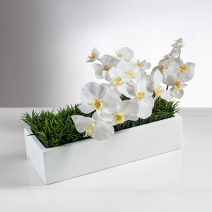 Balcony Grass + Orchids item # 8249