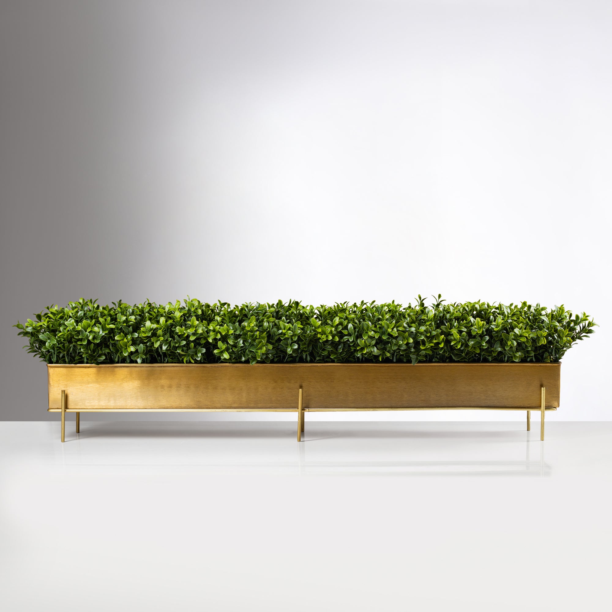 Grande Chic Boxwood