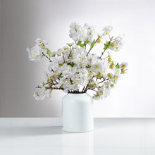 Load image into Gallery viewer, Flynn Cherry Blossom white item # 8221