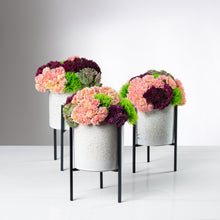 Load image into Gallery viewer, Enduring Mini Plant Stand Trio item # 8237