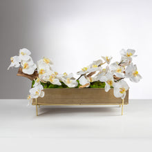 Load image into Gallery viewer, Driftwood Orchid item # 8204